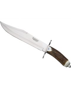Joker Bowie CC101