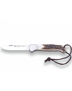 Joker NC129 Canguro I folding knife 